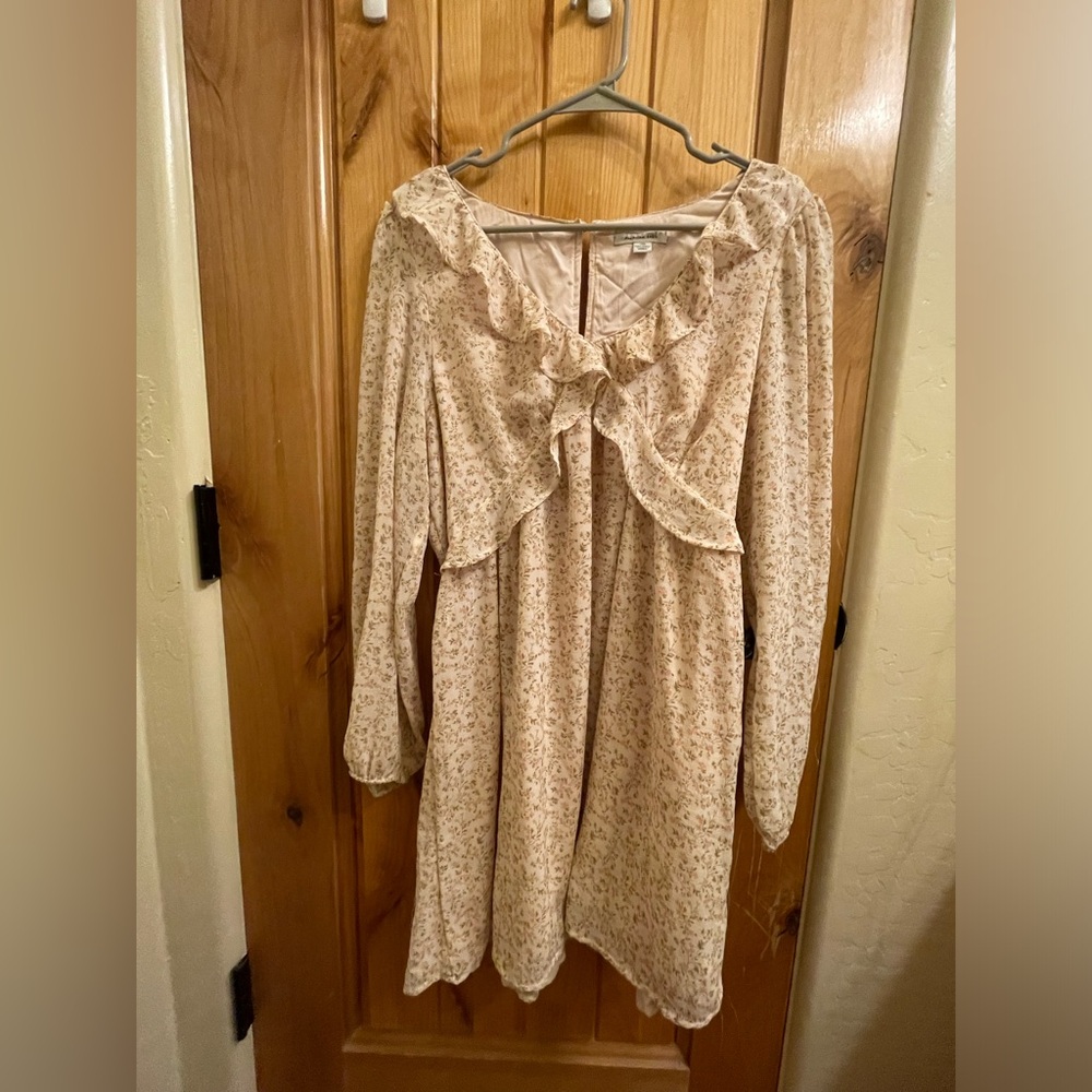 American Eagle Long Sleeve Floral Dress